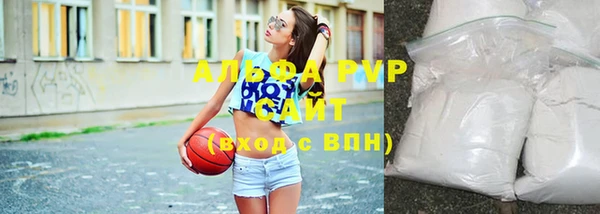 гашик Алексин