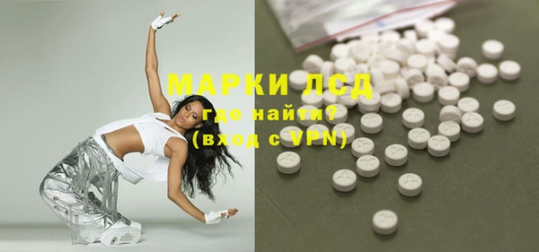 гашик Алексин