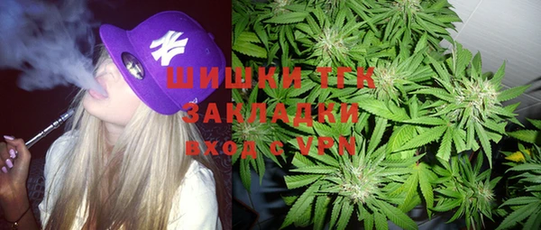 молекула духа Алзамай