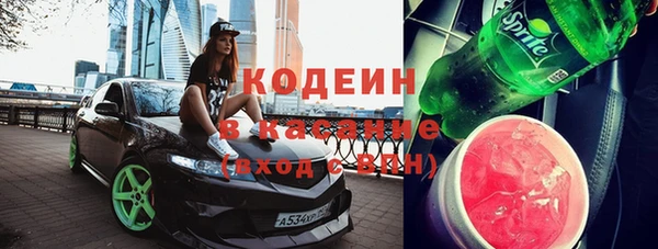 гашик Алексин