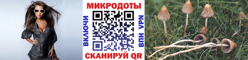 Галлюциногенные грибы MAGIC MUSHROOMS  Лесосибирск 